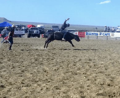 Screenshot_2018-10-24-20-31-25